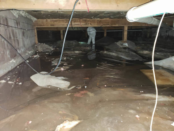 Trusted Water Damage Restoration in Hampton Bays, NY | Fast, Reliable, and Ready to Assist You